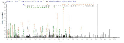 Based on the SEQUEST from database of Yeast host and target protein, the LC-MS/MS Analysis result of this product could indicate that this peptide derived from Yeast-expressed Vaccinia virus (strain Western Reserve) (VACV) (Vaccinia virus (strain WR)) VACWR156.