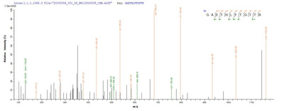 Based on the SEQUEST from database of Yeast host and target protein, the LC-MS/MS Analysis result of this product could indicate that this peptide derived from Yeast-expressed Viscum album (European mistletoe) N/A.