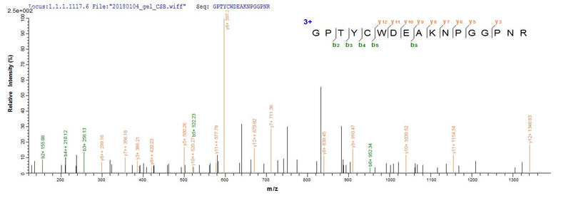 Based on the SEQUEST from database of Yeast host and target protein, the LC-MS/MS Analysis result of this product could indicate that this peptide derived from Yeast-expressed Scytonema varium N/A.