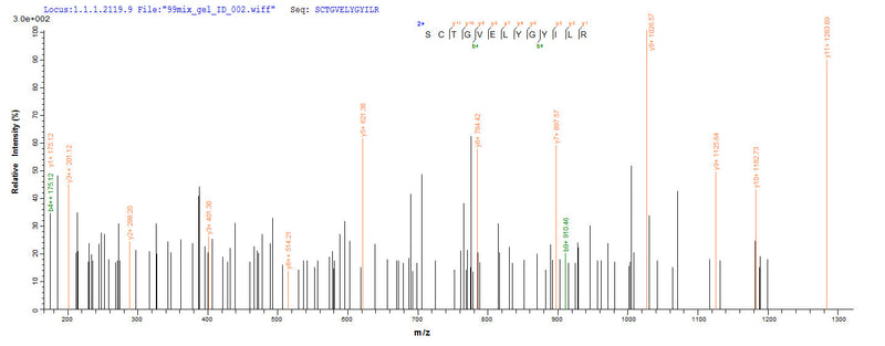 Based on the SEQUEST from database of Yeast host and target protein, the LC-MS/MS Analysis result of this product could indicate that this peptide derived from Yeast-expressed Ceratopteris richardii (Triangle waterfern) Cyanovirin-N homolog.