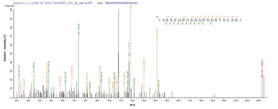 Based on the SEQUEST from database of Yeast host and target protein, the LC-MS/MS Analysis result of this product could indicate that this peptide derived from Yeast-expressed Vaccinia virus (strain Western Reserve) (VACV) (Vaccinia virus (strain WR)) PS/HR.