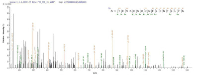 Based on the SEQUEST from database of Yeast host and target protein, the LC-MS/MS Analysis result of this product could indicate that this peptide derived from Yeast-expressed Staphylococcus aureus entE.