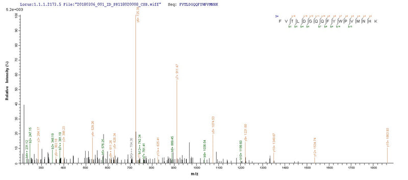 Based on the SEQUEST from database of Yeast host and target protein, the LC-MS/MS Analysis result of this product could indicate that this peptide derived from Yeast-expressed Zaire ebolavirus (strain Mayinga-76) (ZEBOV) (Zaire Ebola virus) NP.