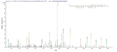 Based on the SEQUEST from database of Yeast host and target protein, the LC-MS/MS Analysis result of this product could indicate that this peptide derived from Yeast-expressed Zaire ebolavirus (strain Mayinga-76) (ZEBOV) (Zaire Ebola virus) NP.