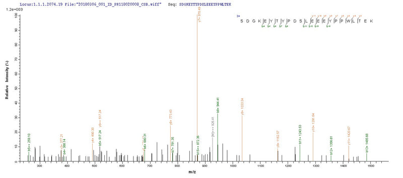 Based on the SEQUEST from database of Yeast host and target protein, the LC-MS/MS Analysis result of this product could indicate that this peptide derived from Yeast-expressed Zaire ebolavirus (strain Mayinga-76) (ZEBOV) (Zaire Ebola virus) NP.