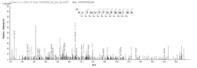 Based on the SEQUEST from database of Yeast host and target protein, the LC-MS/MS Analysis result of this product could indicate that this peptide derived from Yeast-expressed Vaccinia virus (strain Copenhagen) (VACV) A27L.