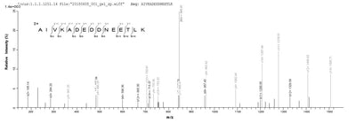 Based on the SEQUEST from database of Yeast host and target protein, the LC-MS/MS Analysis result of this product could indicate that this peptide derived from Yeast-expressed Vaccinia virus (strain Copenhagen) (VACV) A27L.