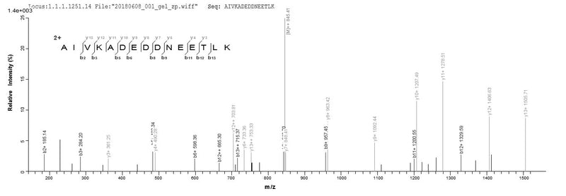 Based on the SEQUEST from database of Yeast host and target protein, the LC-MS/MS Analysis result of this product could indicate that this peptide derived from Yeast-expressed Vaccinia virus (strain Copenhagen) (VACV) A27L.