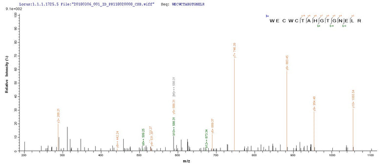 Based on the SEQUEST from database of Yeast host and target protein, the LC-MS/MS Analysis result of this product could indicate that this peptide derived from Yeast-expressed Ustilago maydis P6 virus (UmV6) (UmV-P6) N/A.