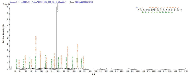 Based on the SEQUEST from database of Yeast host and target protein, the LC-MS/MS Analysis result of this product could indicate that this peptide derived from Yeast-expressed Saccharomyces cerevisiae (strain ATCC 204508 / S288c) (Baker&