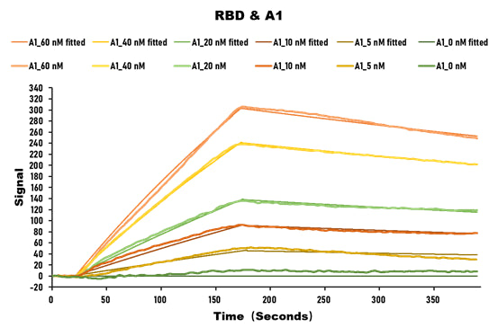 Activity SARS-CoV-2 Spike protein RBD His/Sumostar Tag  captured on COOH chip can bind SARS-CoV-2 Spike RBD Nanobody  with an affinity constant of 28.2nM as detected by LSPR Assay. Biological Activity Assay