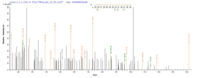 Based on the SEQUEST from database of Yeast host and target protein, the LC-MS/MS Analysis result of this product could indicate that this peptide derived from Yeast-expressed Saccharomyces cerevisiae (strain ATCC 204508 / S288c) (Baker's yeast) DOG1.