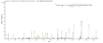 Based on the SEQUEST from database of Yeast host and target protein, the LC-MS/MS Analysis result of this product could indicate that this peptide derived from Yeast-expressed Yersinia pestis caf1.