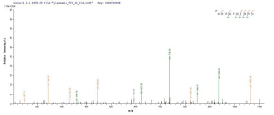 Based on the SEQUEST from database of Yeast host and target protein, the LC-MS/MS Analysis result of this product could indicate that this peptide derived from Yeast-expressed Yersinia pestis caf1.