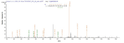 Based on the SEQUEST from database of Yeast host and target protein, the LC-MS/MS Analysis result of this product could indicate that this peptide derived from Yeast-expressed Toxocara canis (Canine roundworm) TES-26.