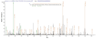 Based on the SEQUEST from database of Yeast host and target protein, the LC-MS/MS Analysis result of this product could indicate that this peptide derived from Yeast-expressed Saccharomyces cerevisiae (strain ATCC 204508 / S288c) (Baker's yeast) CDC19.