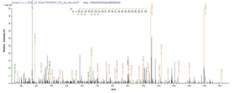 Based on the SEQUEST from database of Yeast host and target protein, the LC-MS/MS Analysis result of this product could indicate that this peptide derived from Yeast-expressed Saccharomyces cerevisiae (strain ATCC 204508 / S288c) (Baker&