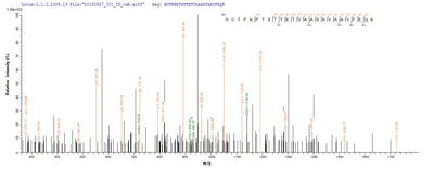 Based on the SEQUEST from database of Yeast host and target protein, the LC-MS/MS Analysis result of this product could indicate that this peptide derived from Yeast-expressed Saccharomyces cerevisiae (strain ATCC 204508 / S288c) (Baker's yeast) CDC19.