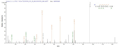 Based on the SEQUEST from database of Yeast host and target protein, the LC-MS/MS Analysis result of this product could indicate that this peptide derived from Yeast-expressed Bos taurus (Bovine) ADIPOQ.