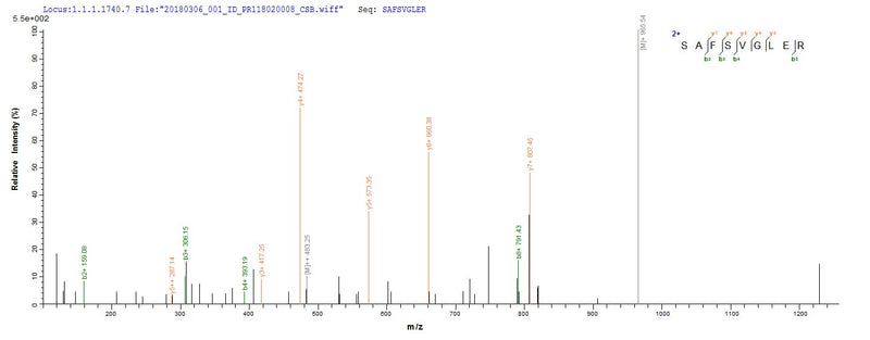 Based on the SEQUEST from database of Yeast host and target protein, the LC-MS/MS Analysis result of this product could indicate that this peptide derived from Yeast-expressed Bos taurus (Bovine) ADIPOQ.