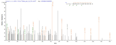 Based on the SEQUEST from database of Yeast host and target protein, the LC-MS/MS Analysis result of this product could indicate that this peptide derived from Yeast-expressed Staphylococcus aureus (strain COL) clfA.