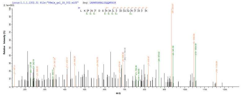 Based on the SEQUEST from database of Yeast host and target protein, the LC-MS/MS Analysis result of this product could indicate that this peptide derived from Yeast-expressed Staphylococcus aureus (strain COL) clfA.