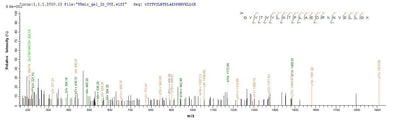 Based on the SEQUEST from database of Yeast host and target protein, the LC-MS/MS Analysis result of this product could indicate that this peptide derived from Yeast-expressed Staphylococcus aureus (strain MRSA252) chp.