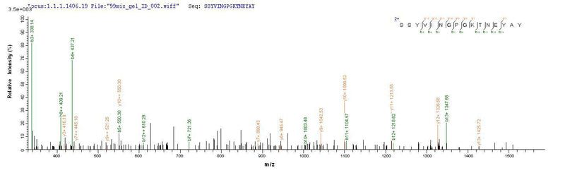 Based on the SEQUEST from database of Yeast host and target protein, the LC-MS/MS Analysis result of this product could indicate that this peptide derived from Yeast-expressed Staphylococcus aureus (strain MRSA252) chp.