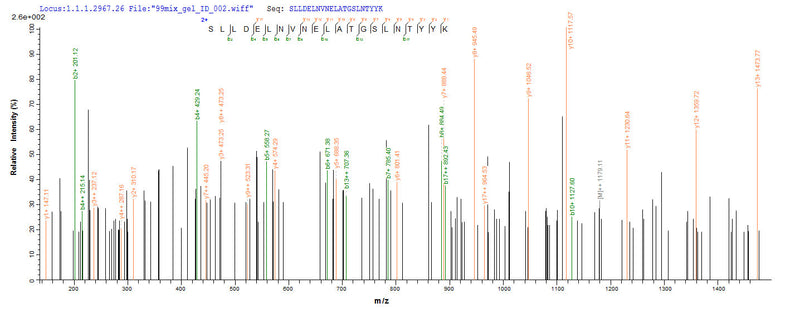 Based on the SEQUEST from database of Yeast host and target protein, the LC-MS/MS Analysis result of this product could indicate that this peptide derived from Yeast-expressed Staphylococcus aureus (strain N315) scn.