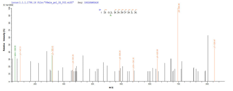 Based on the SEQUEST from database of Yeast host and target protein, the LC-MS/MS Analysis result of this product could indicate that this peptide derived from Yeast-expressed Staphylococcus aureus (strain N315) scn.