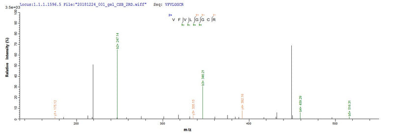 Based on the SEQUEST from database of Yeast host and target protein, the LC-MS/MS Analysis result of this product could indicate that this peptide derived from Yeast-expressed Hepatitis B virus genotype D subtype ayw (isolate Japan/JYW796/1988) (HBV-D) X.